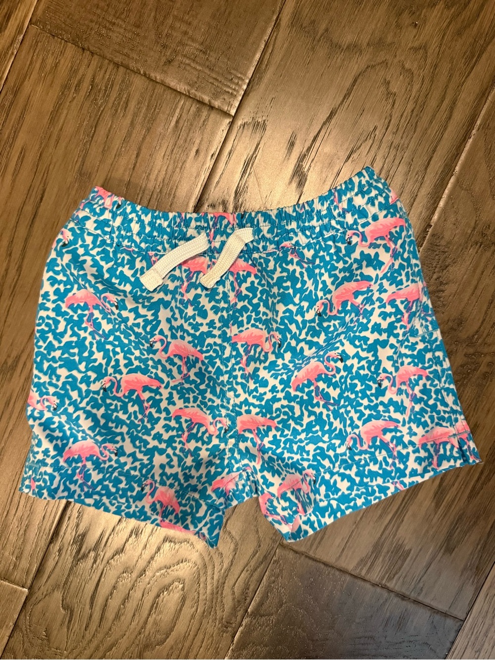 chubbies Teal and Pink Flamingo Swim Shorts